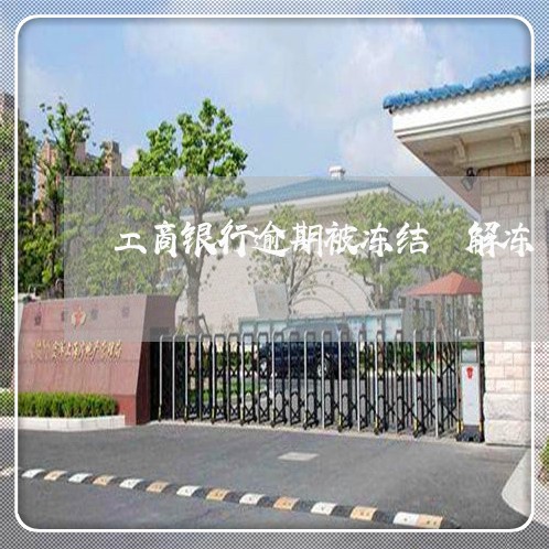工商银行逾期被冻结 解冻 工商银行逾期被冻结 解冻